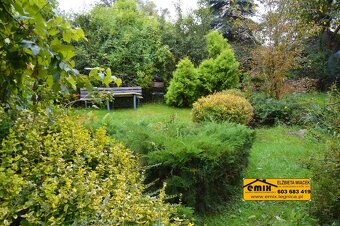 3 pokoje na parterze, po remoncie, 7 km od Złotoryi - 17