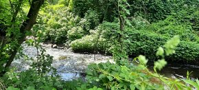 Spływy kajakowe rzeką Wel - Pole namiotowe - Pokoje - 17