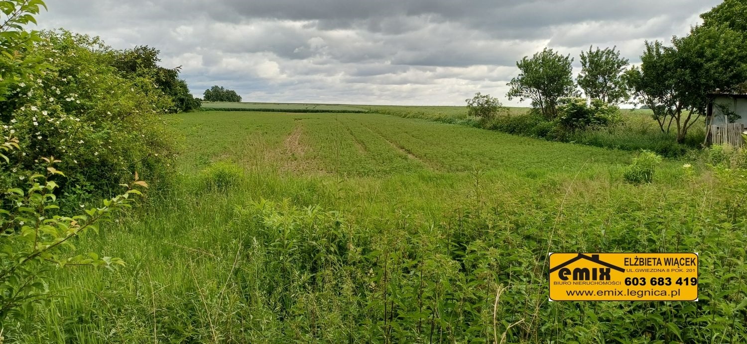 Dom z działką w Wojciechowie k. Chojnowa, możliwa rozbudowa - 18