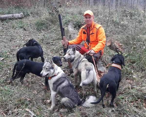 Reproduktory rasy GOŃCZY POLSKI użytkowe zapraszają suczki - 18