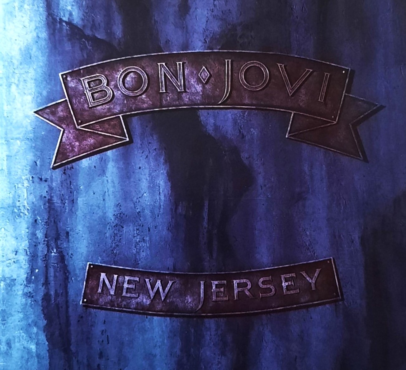 Znakomity Album CD GUNS N ROSES Album- Chinese Democracy CD - 18