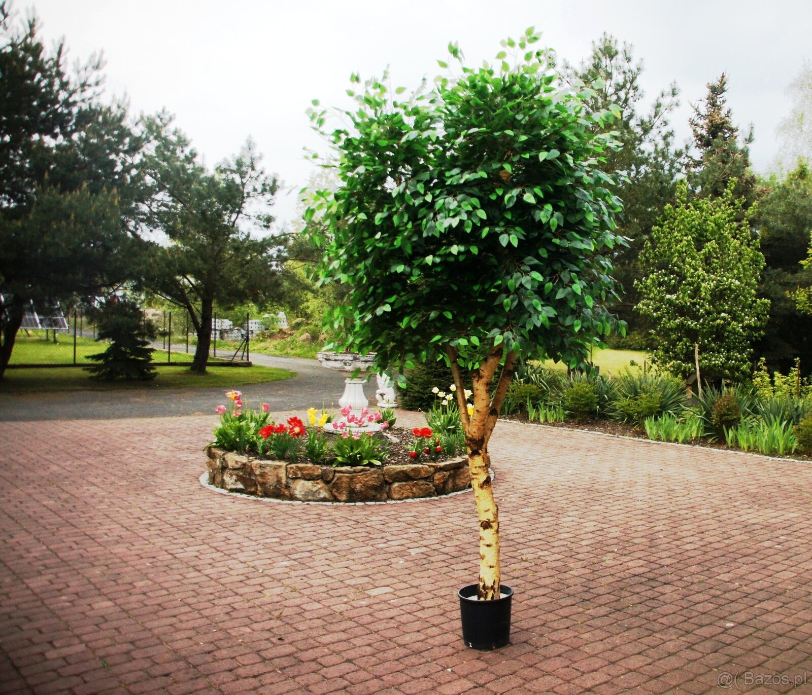 Drzewko sztuczne kwitnące - 18