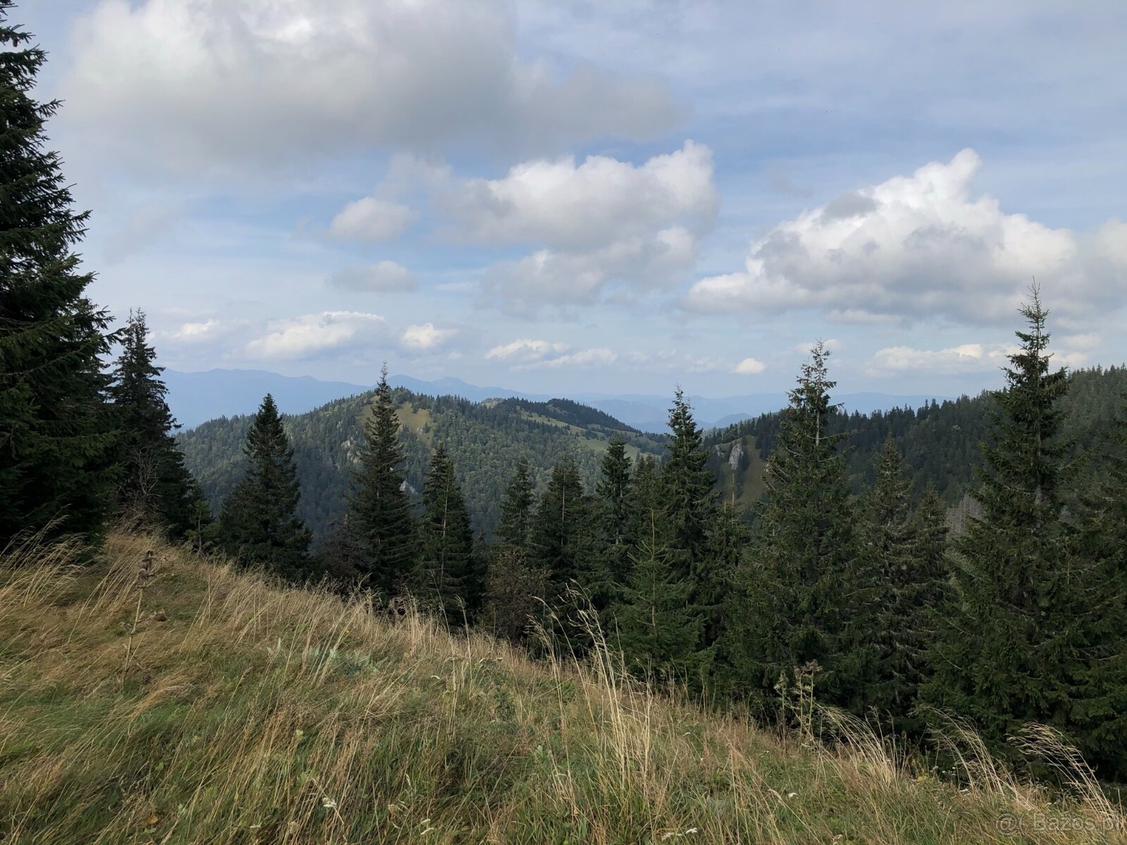 Chata pod Halinami (SKI i BIKEpark Malinô Brdo – Słowacja) - 18