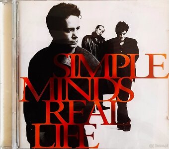 Polecam Album CD,DVD SIMPLY RED -Album Home Wersja Limitowan - 18