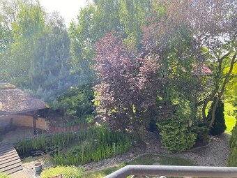 Posiadłość z domem o pow. 311.40 m2,  Kolonia Skarszewek - 18
