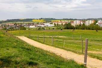 stajnie dla koni, źrebiąt i emerytów - 18