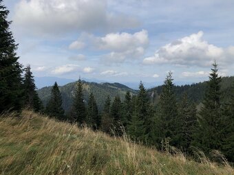 Chata pod Halinami (SKI i BIKEpark Malinô Brdo – Słowacja) - 18