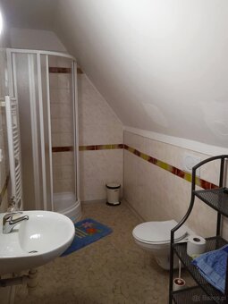 Sprzedaż atrakcyjnego domku letniskowego w Dolní Moravice - 18