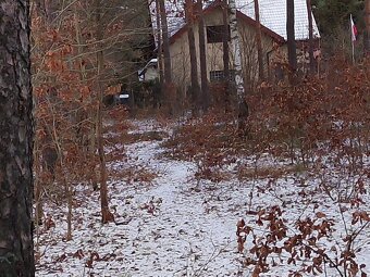 Leśno-budowlana - 18