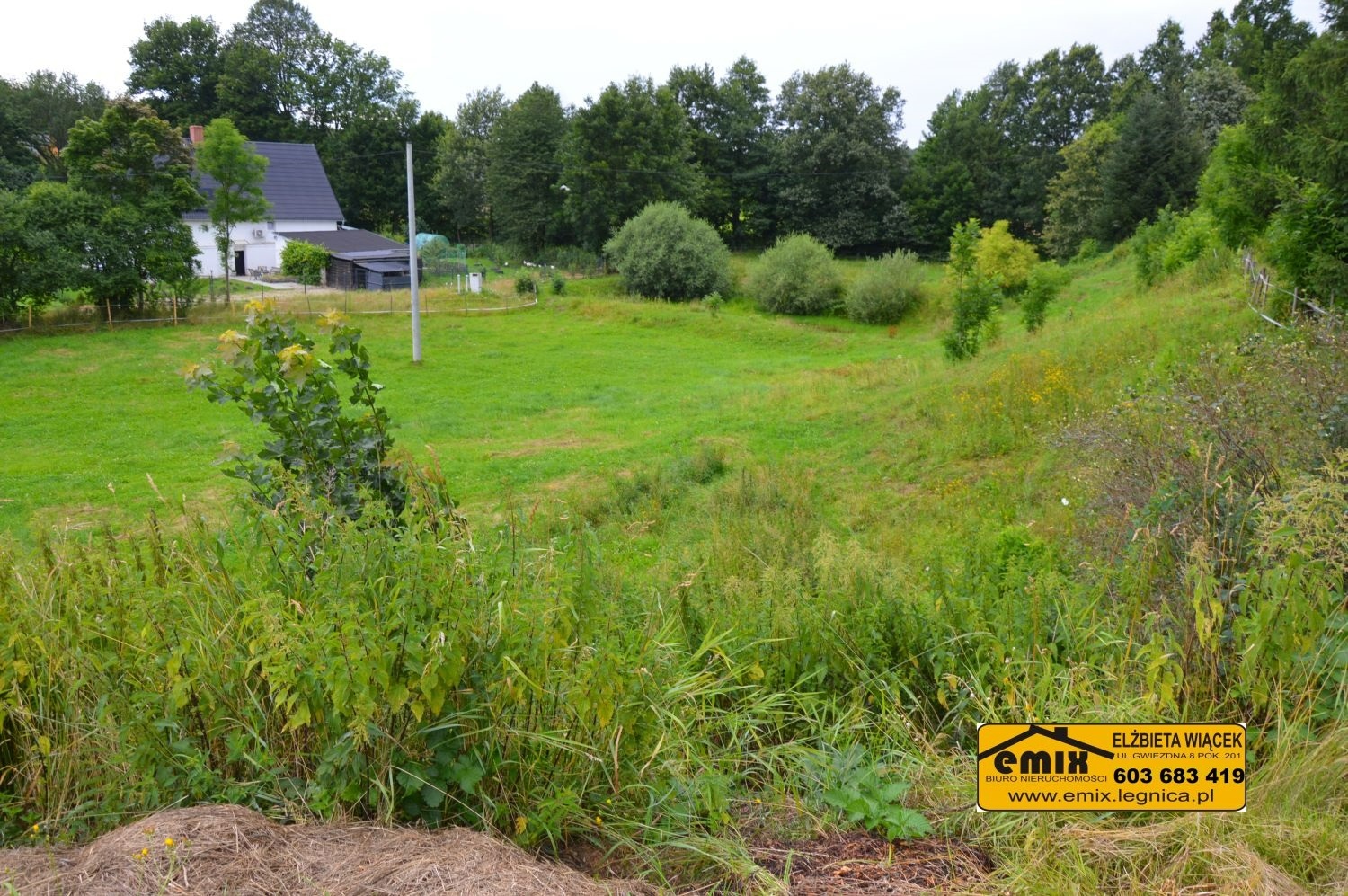 Lokal z możliwością przekształcenia na dom, działka 2880m2 - 19