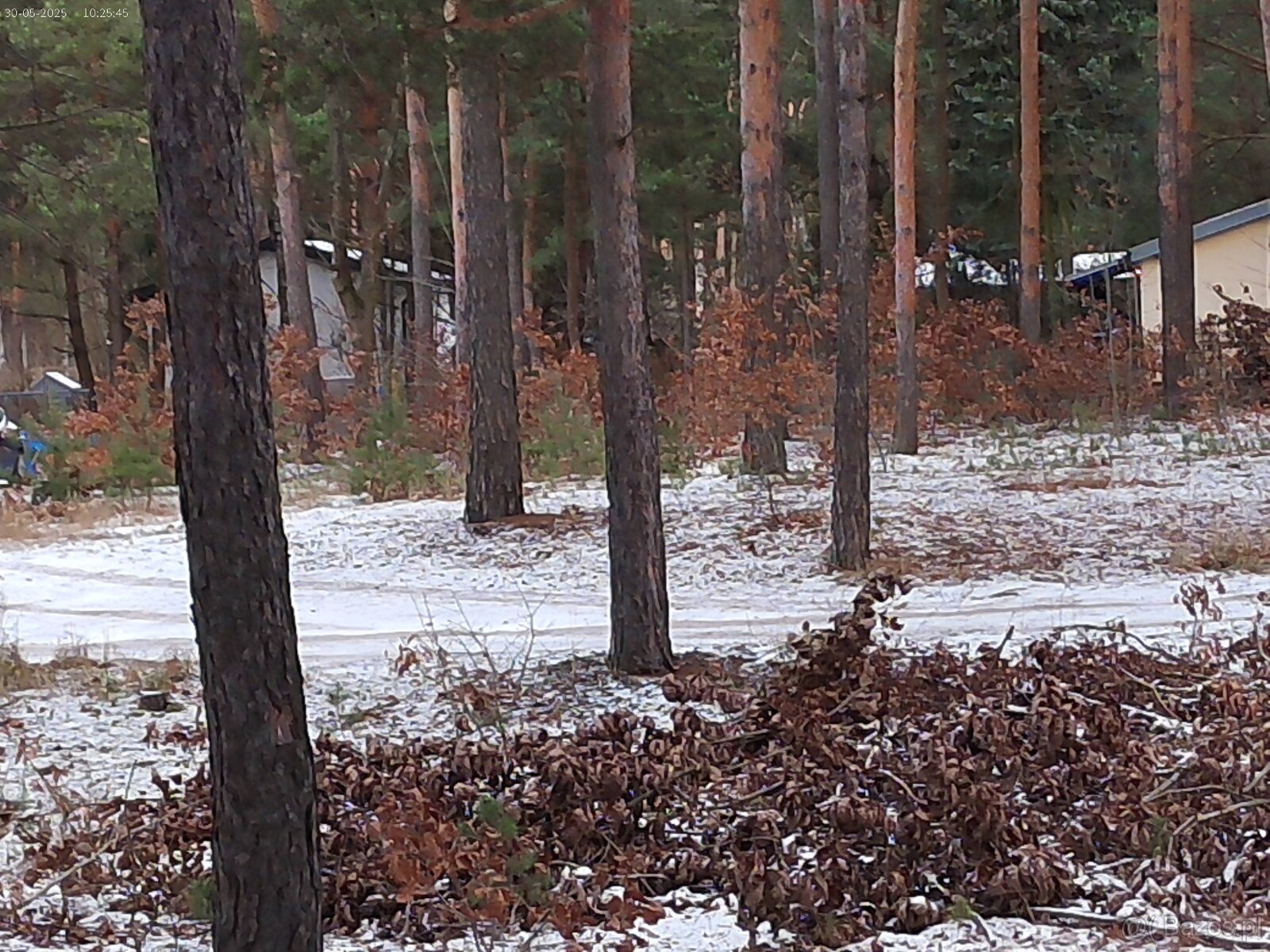 Leśno-budowlana - 19