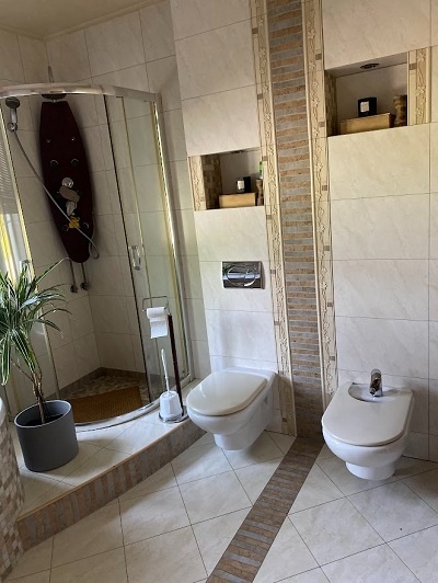 Dom o powierzchni 241m2, działka 6315m2, 4 km od Kalisza - 19