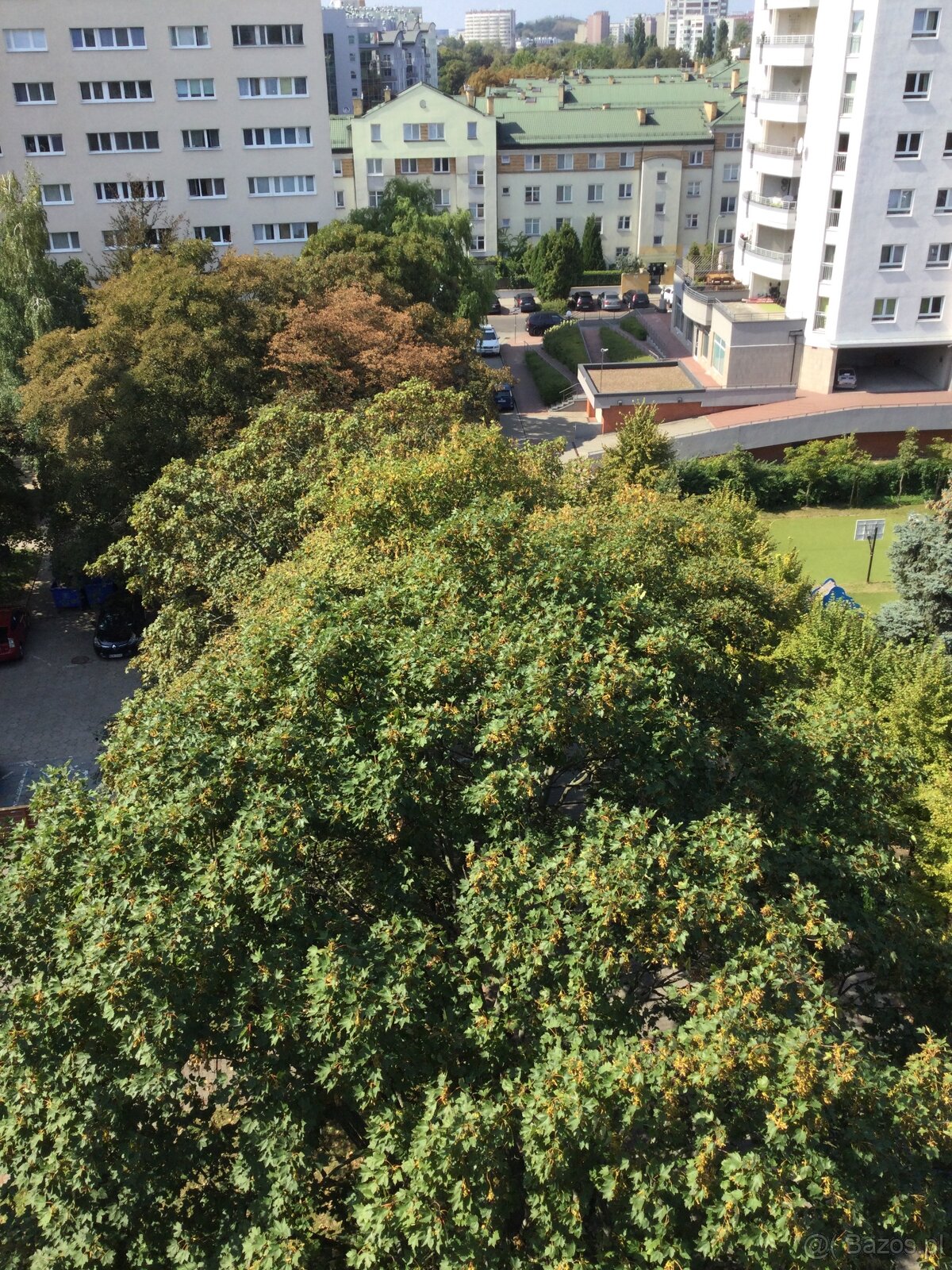 Wynajmę bezpośrednio mieszkanie 19m2 - 19