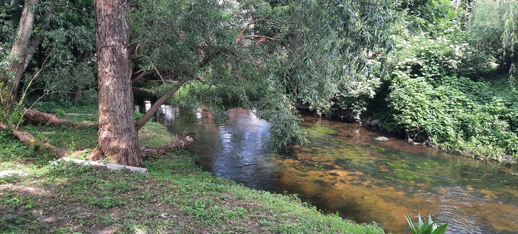 Spływy kajakowe rzeką Wel - Pole namiotowe - Pokoje - 19
