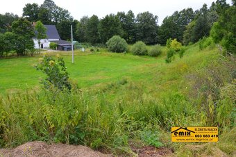 Lokal z możliwością przekształcenia na dom, działka 2880m2 - 19