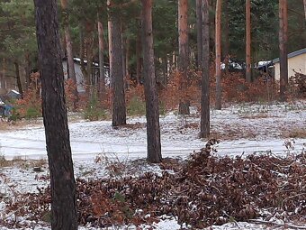 Leśno-budowlana - 19