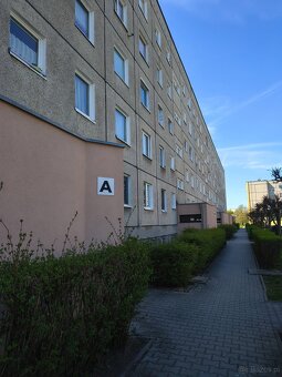 Sprzedam mieszkanie - 19