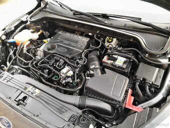 Ford Focus Cena Brutto - 19