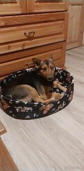 Dom murowany- dwuczęściowy - 19