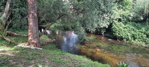 Spływy kajakowe rzeką Wel - Pole namiotowe - Pokoje - 19