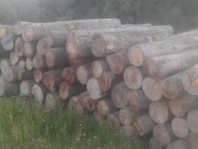 Drewno opałowe bukowe - 1