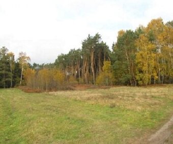 Działka budowlana 4200 m² – Zbiersk, gm. Stawiszyn