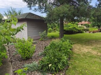 ROD "Słonecznik" Tarnów ul. Ostrogskich