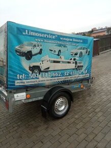 sprzedam przyczepa lekka NEPTUN rok 2012 ładowność 645 kg dm - 1