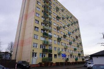 Lokal mieszkalny nr 49