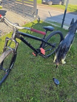 Rower octane one melt dirt