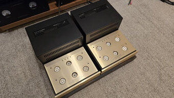 Canary Audio M350 class A Monos 300B