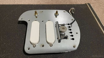 Aria Jedson Lap Steel Slide Gitarre Gilmour