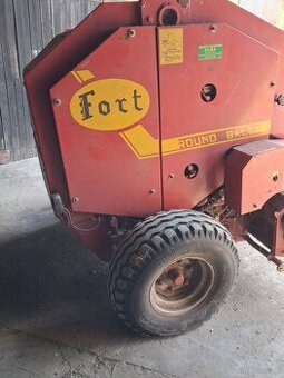 Sprzedam prase zwijke Ford - 1