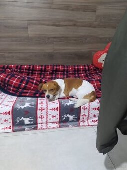 Oddam do kochającego domu