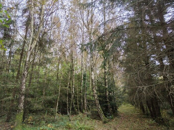 Niezabudowana działka w Kierzkowie, gmina Choczewo, woj. pom