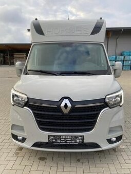 Renault Master – Transporter koni 1–2 konie | 2024