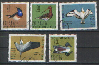 Fi 1343 - 6, 7 kas 1964