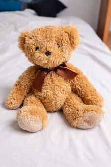 Niedźwiedź Hamleya