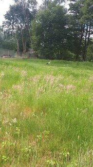 do sprzedania działka  budowlana1200m2 w Matyldowie