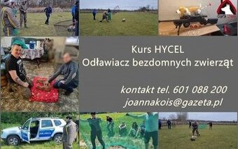 Kurs Hycel Odławiacz bezdomnych zwierząt
