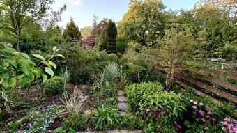 SPRZEDAM  Działkę ogrodową w Słupsku 447m².