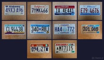 10x oryginalna tablica rejestracyjna USA