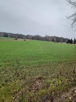 Działka rolno - budowlana niedaleko Widawy