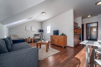 Apartament z sauną i jacuzzi – Demianowa / Jasna