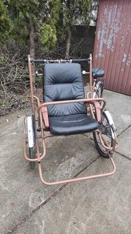 riksza rowerowa