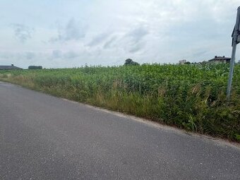 Działki budowlane o powierzchni od 1017 - 1506m2, Wojciechów - 1