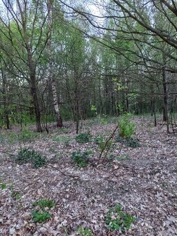 Działka budowlana 30 arów