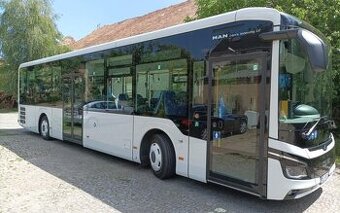 Kierowca autobusu w komunikacji lokalnej (m/k) - Niemcy