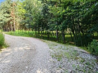 Działki budowlane w Bratucicach, gmina Rzezawa