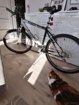 Rower Schwinn Ranger 2, 6 F.S